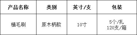 4植毛刷10寸.png